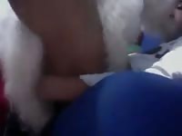 Dog Fuck Gay Boy 18 Gaybeast.Com - Animal Sex