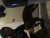 Dog Fucking Man In Hoody Gay Beast Com - Beastiality Porn Tube