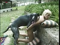 Dog Fucks Milf Outside