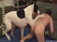 Dog Fucks Owner Ass