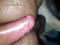 Dog Gay Anal Gaybeast.Com - Beastiality Porn Movie