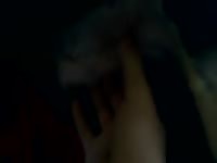 Dog Jerking Gaybeast.Com - Animal Sex Porn