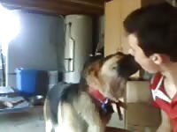 Dog Licks Hung Boy Gaybeast Rip - Bestiality Porn Tube