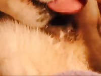 Dog Pussy Gaybeast.Com - Beastiality Sex Porn Tube