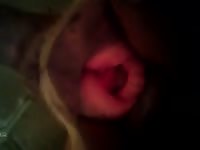 Dog Pussy Orgasm Gaybeast Rip - Beastiality Sex Porn