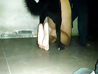 Dog Rides Me And Cum Inside Gay Beast Com - Bestiality Sex Video
