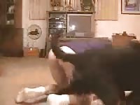 Dog Screwing A Guy