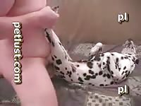 Dog Spotted Heat Man Fucking Young Female Dalmation Dog Zoophilestracker
