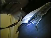 Dog Sucking Gaybeast.Com - Animal Porn Movie