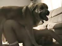 Dogcum In My Panties Tube Mp4 Video Mp4 Dogcum In My Panties Tube