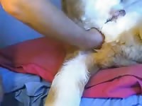 Doggie Anal 6 Gaybeast Rip - Beastiality Porn Movie