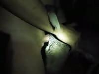 Doggy Anal Gaybeast - Animal Sex Video