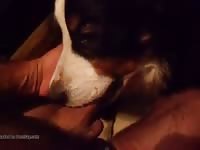 Doggy Blowjob Gay Beast Com - Zoo Xxx Porn
