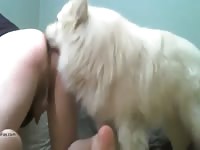 Doggy First Gaybeast Rip - Beastiality Sex Movie