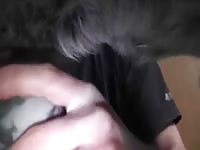 Doggy Fleshlight Gay Beast Com - Beastiality XXX Porn Tube