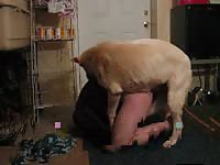 Doggy Gaybeast.Com - Bestiality Sex