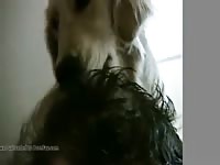Doggy Scalp Massage Gaybeast Rip - Bestiality Porn Video