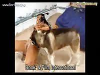 Dogsex Live 29 Extreme Animalsex Liveshows