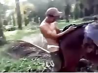 Donkey 11 Gaybeast - Bestiality Sex