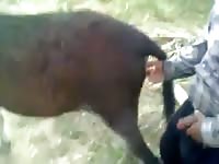 Donkey 3 Gay Beast Com - Bestiality Sex Movie