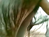 Donkey Fuck 9 Gaybeast.Com - Bestiality Sex Video
