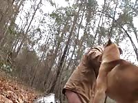 Eager Dog1 Gay Beast Com - Beastiality XXX Porn Tube