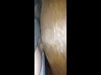 Equus Gaybeast - Beastiality Porn Video