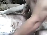 Eu Com Minha Cadela Gay Beast Com - Animal Porn Movie