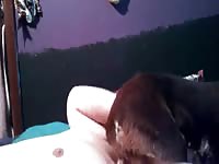 Face Sitting Gaybeast.Com - Bestiality Porn Video