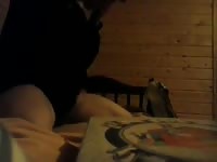 Faping At Plush Pony Gaybeast - Beastiality Sex Porn Video
