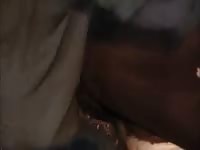 Farmer And His Cow Gay Beast Com - Beastiality Sex Movie