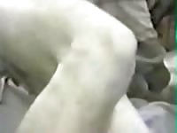Fdog And Man Gaybeast.Com - Beastiality Sex Porn Video