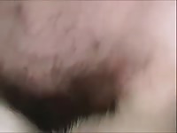 Fem Malamute Gaybeast - Animal Sex
