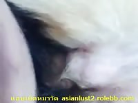 Female Dog 5 Gaybeast Rip - Bestiality Sex