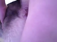 Female Dog Anal Gay Beast Com - Beastiality Sex Tube