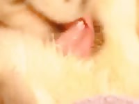 Female Dog Enjoy Cum Gaybeast - Beastiality Sex Movie