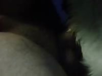 Female Dog Love Gaybeast Rip - Beastiality Sex Tube