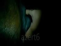 Female Pony Fingering Gaybeast Rip - Beastiality Porn Movie