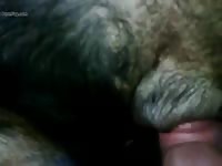 Female Rott Gay Beast Com - Animal Porn Video