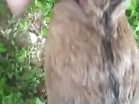 Filly Fuck 3 Gay Beast Com - Bestiality Porn