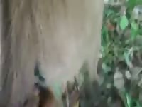Filly Fuck 4 Gaybeast - Beastiality Porn Tube