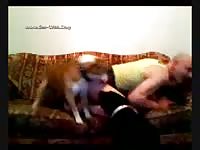 Film Me And My Dog Doginserter Movie
