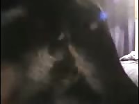 Finally Some Actual Dick In Me Gaybeast Rip - Beastiality Porn Video