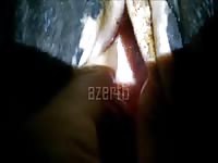 Fingering And Fucking A Mini Mare Gaybeast - Beastiality Porn Movie