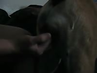 Fingering And Fucking A Sexy Woman Gaybeast.Com - Beastiality Porn Movie