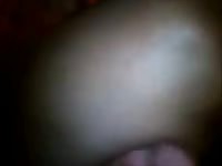 Fingering Husky Gay Beast Com - Beastiality Porn