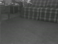 First Try Whith My Dog Gaybeast Rip - Animal Porn Movie