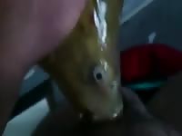 Fish Blowjob Gaybeast.Com - Beastiality Porn