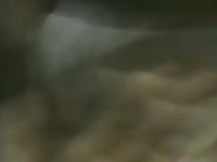 Fisting Cow Ass Gaybeast Rip - Bestiality Sex Movie