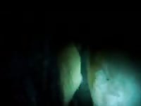 Fisting Mare Gaybeast - Bestiality Porn Movie